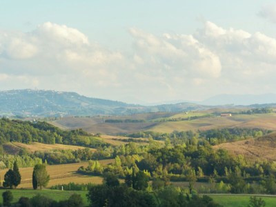 Holiday house Peaceful Apartment, Ghizzano - Environment photo 33