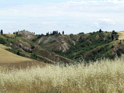 Holiday house Peaceful Apartment, Ghizzano - Environment photo 34