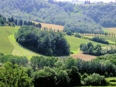 Holiday house Peaceful Apartment, Ghizzano - Environment photo 35