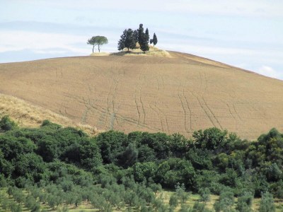 Holiday house Peaceful Apartment, Ghizzano - Environment photo 36