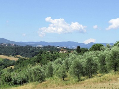 Holiday house Peaceful Apartment, Ghizzano - Environment photo 37