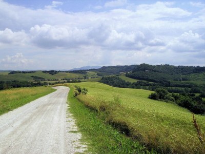 Holiday house Peaceful Apartment, Ghizzano - Environment photo 38