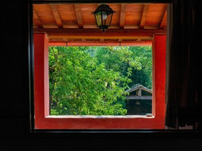 Holiday house Peaceful Apartment, Ghizzano - Outdoor photo 39
