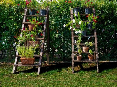 Holiday house Peaceful Apartment, Ghizzano - Outdoor photo 40