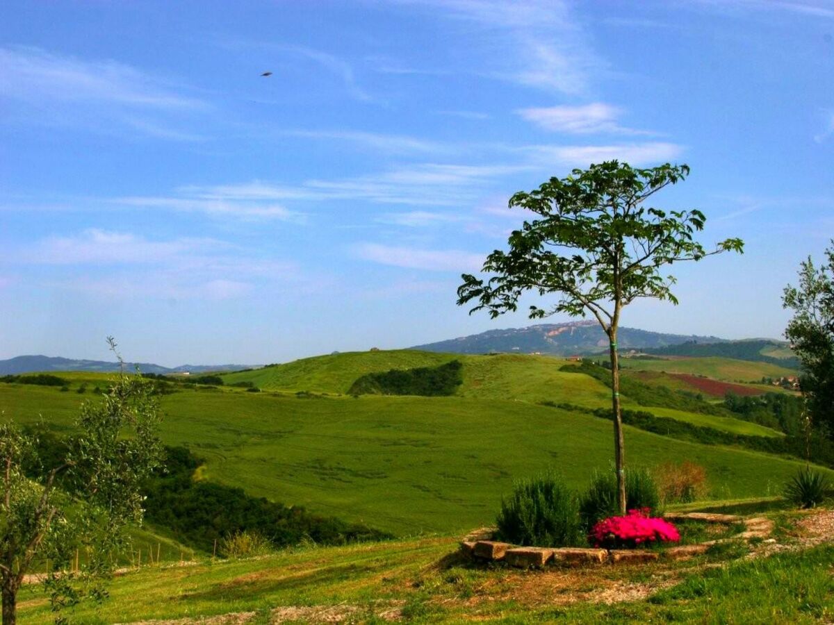 Farmhouse Agriturismo in Tuscany with Pool and Wine Tasting - Outdoor photo 5