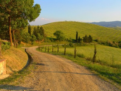 Farmhouse Agriturismo in Tuscany with Pool and Wine Tasting - Outdoor photo 7