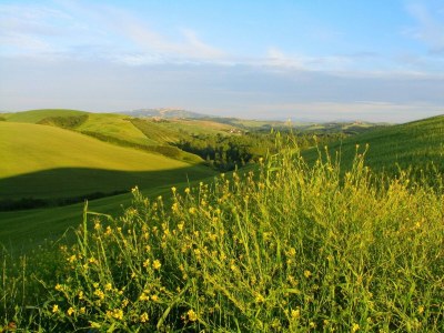 Farmhouse Agriturismo in Tuscany with Pool and Wine Tasting - Outdoor photo 8
