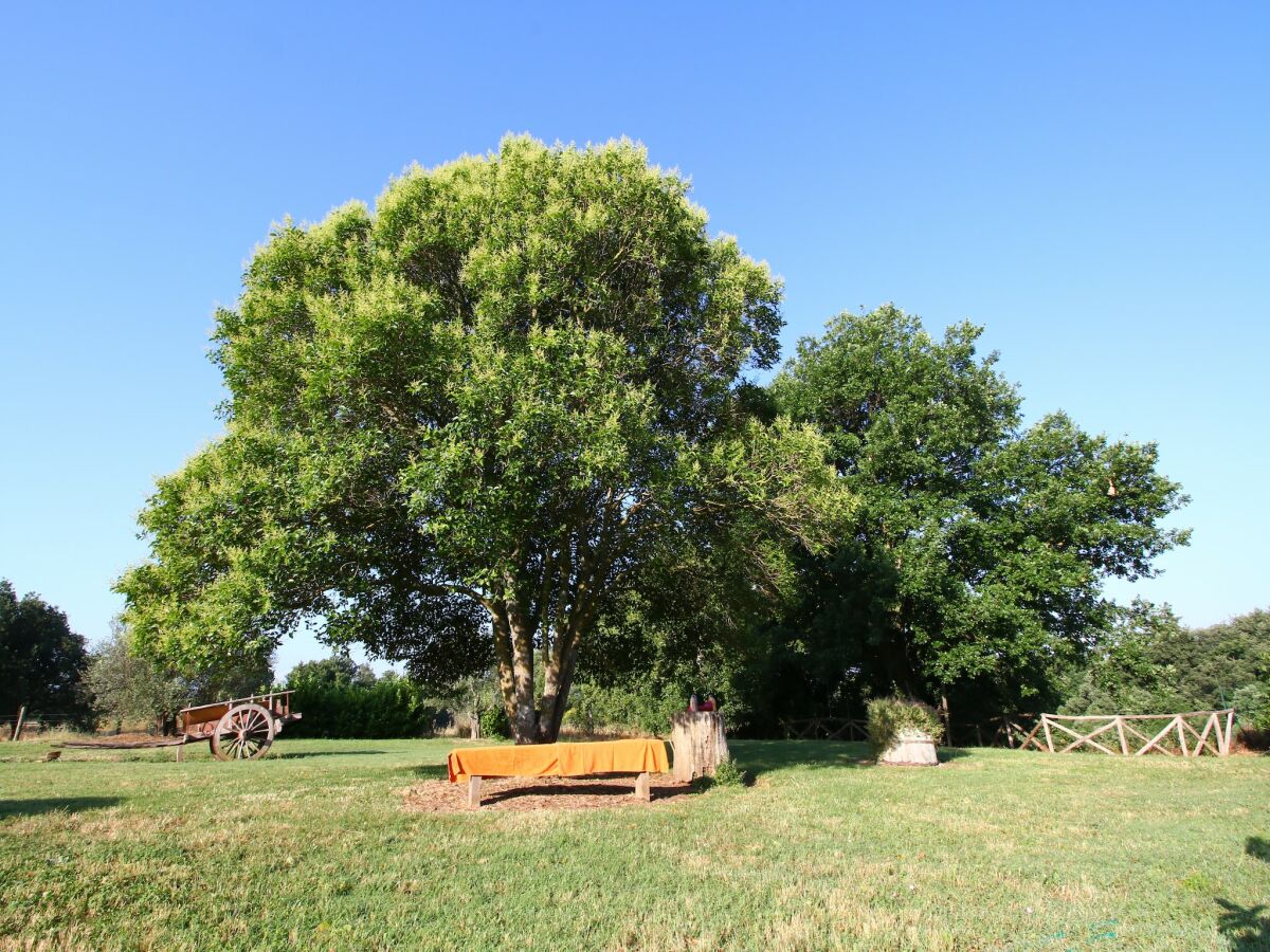 Farmhouse Romantic Farmhouse with Pool - Outdoor photo 4