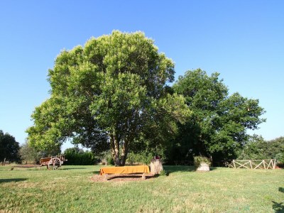 Farmhouse Romantic Farmhouse with Pool - Outdoor photo 4
