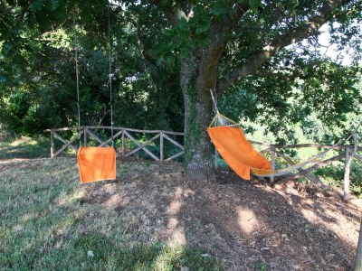 Farmhouse Romantic Farmhouse with Pool - Outdoor photo 9