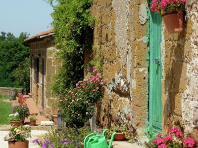 Farmhouse Romantic Farmhouse with Pool - Outdoor photo 18