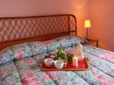 Farmhouse Romantic Farmhouse with Pool - Features photo 23