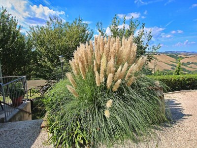 Apartment Apartment in Piticchio with Pool and BBQ - Outdoor photo 35