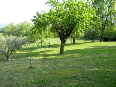 Holiday house Ferienhaus in Serrungarina in Seenähe - Outdoor photo 9