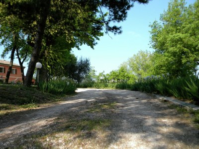 Holiday house Ferienhaus in Serrungarina in Seenähe - Outdoor photo 10