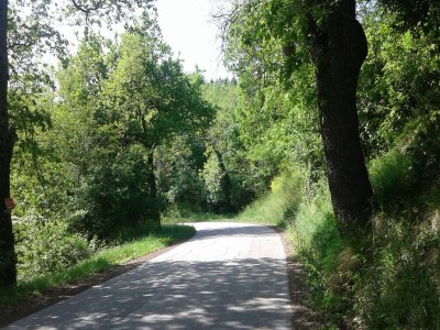 Holiday house Ferienhaus in Serrungarina in Seenähe - Environment photo 30