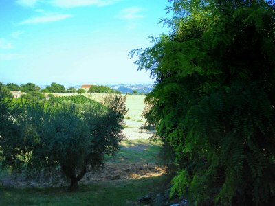 Holiday house Ferienhaus in Serrungarina in Seenähe - Environment photo 33