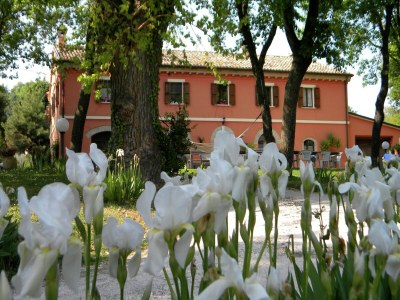 Holiday house Ferienhaus in Serrungarina in Seenähe - Outdoor photo 38