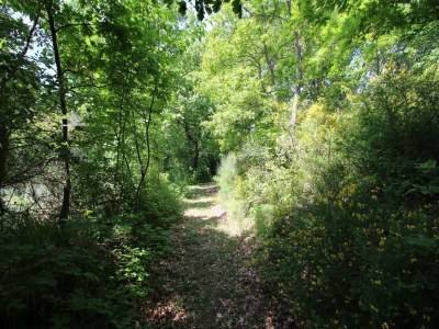 Holiday house Cottage in Marche near Ski Slopes - Outdoor photo 17