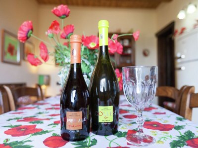 Holiday house Cottage in Marche near Ski Slopes - Outdoor photo 36