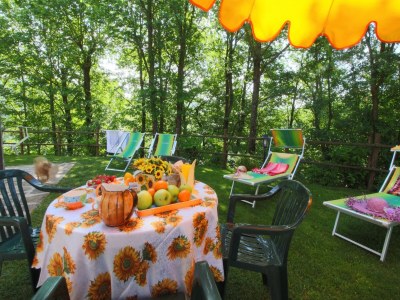 Holiday house Haustierfreundlicher Rückzugsort - Outdoor photo 10