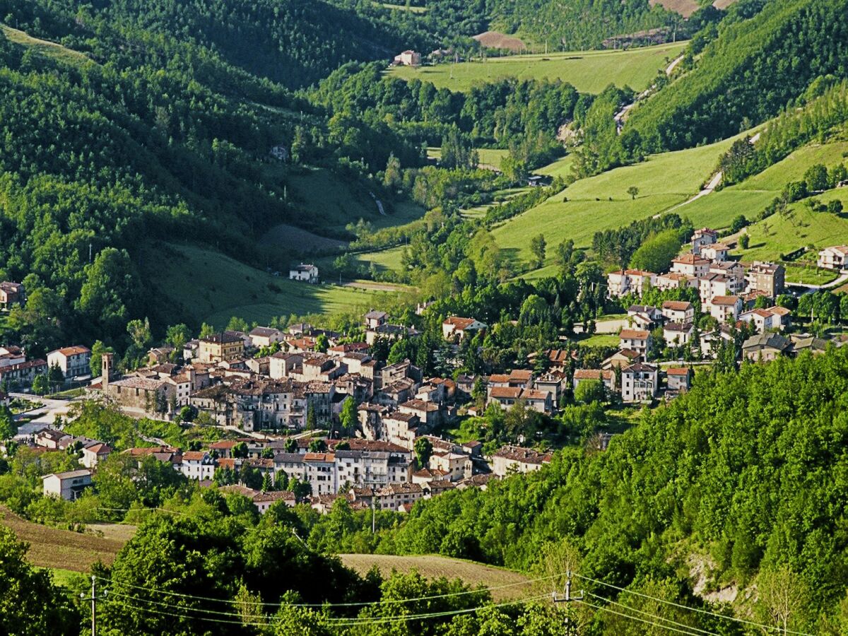 Holiday house Hütte in Marche mit Pool und Waldblick - Outdoor photo 2