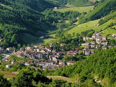 Holiday house Hütte in Marche mit Pool und Waldblick - Outdoor photo 2