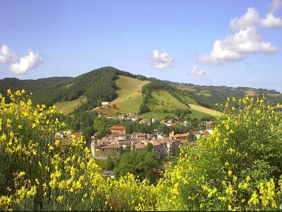 Holiday house Hütte in Marche mit Pool und Waldblick - Environment photo 34