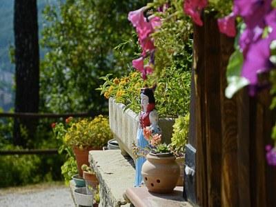 Holiday house Hütte in Marche mit Pool und Waldblick - Outdoor photo 38