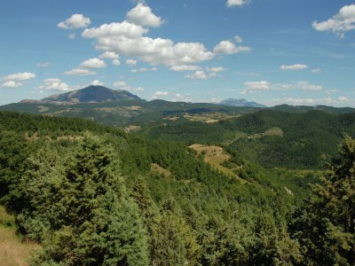 Farmhouse Farmhouse in Apecchio with Pool and Terrace - Outdoor photo 9