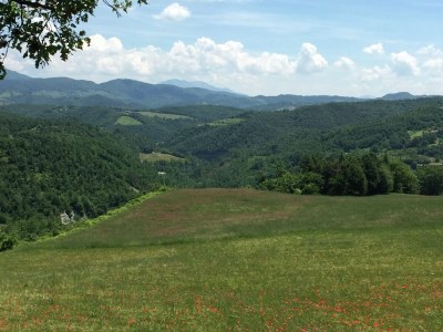 Farmhouse Chalet in Apecchio with Pool and Mountain Views - Outdoor photo 19