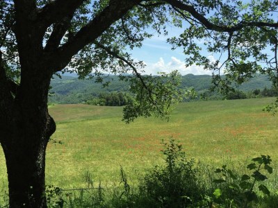 Farmhouse Chalet in Apecchio with Pool and Mountain Views - Outdoor photo 21