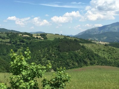 Farmhouse Chalet in Apecchio with Pool and Mountain Views - Outdoor photo 22