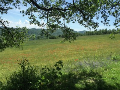 Farmhouse Chalet in Apecchio with Pool and Mountain Views - Outdoor photo 23