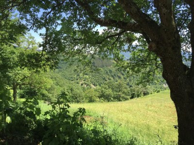 Farmhouse Farmhouse in Apecchio with Mountain Views - Outdoor photo 9