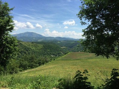 Farmhouse Farmhouse in Apecchio with Pool & Spa - Outdoor photo 12