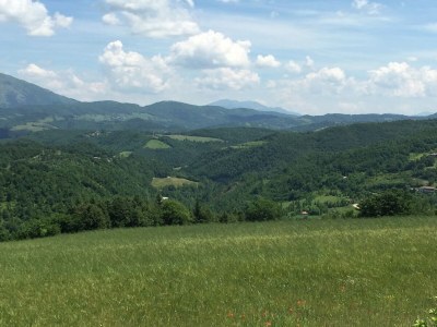 Farmhouse Farmhouse in Apecchio with Pool & Spa - Outdoor photo 20