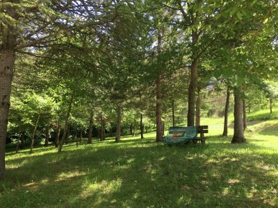 Holiday house Apartment in Marche with Pool and Mountain Views - Outdoor photo 8