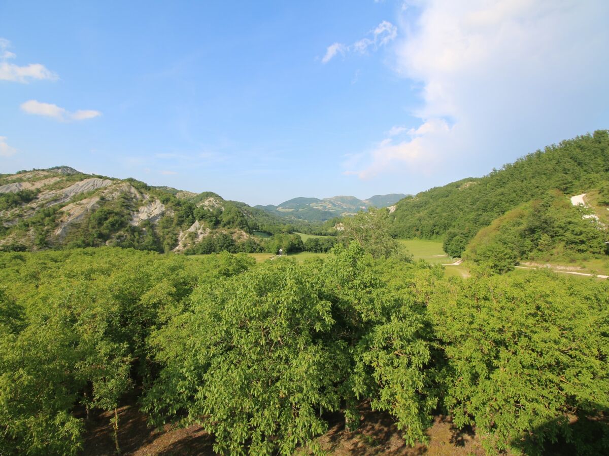 Cottage Mansion in Apecchio with Pool - Outdoor photo 5