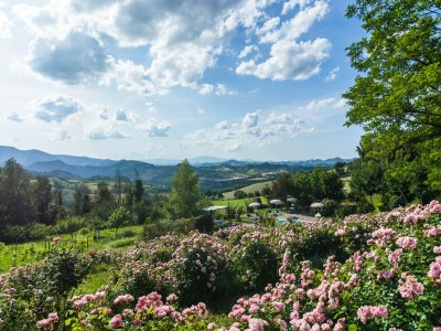 Holiday house Cozy Couple’s Retreat - Outdoor photo 18