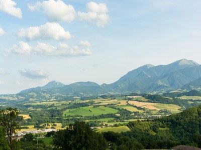 Holiday house Cozy Couple’s Retreat - Environment photo 37