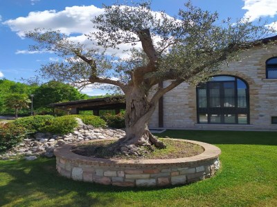 Holiday house Family Cottage in Cagli with Pool - Outdoor photo 18