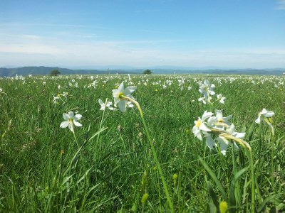 Holiday house Family Cottage in Cagli with Pool - Environment photo 43