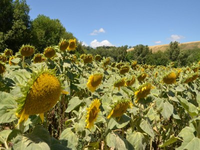 Apartment Belvilla by OYO Terra - Environment photo 32