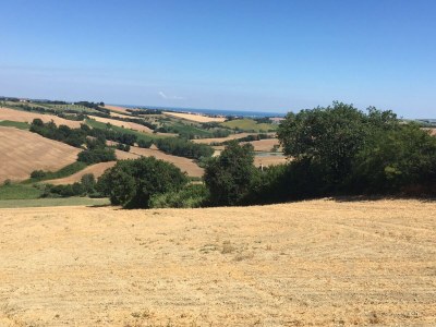 Apartment Belvilla by OYO Terra - Environment photo 35