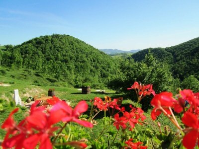 Apartment Gemütlicher Kurzurlaub für Paare mit WLAN - Outdoor photo 10
