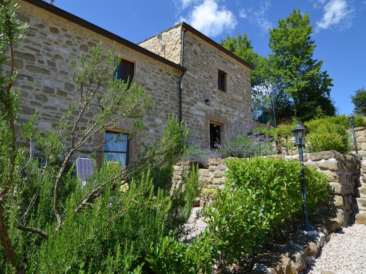 Apartment Countryside cottage in Pergola - Outdoor photo 3