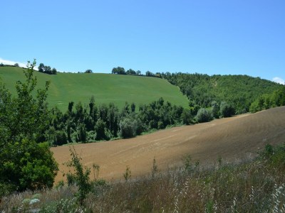 Apartment Countryside cottage in Pergola - Outdoor photo 9