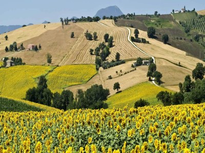 Apartment Countryside cottage in Pergola - Environment photo 34