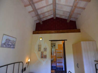 Apartment Countryside cottage in Pergola - Outdoor photo 38